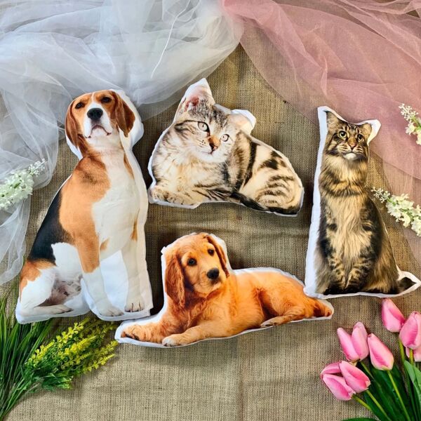 Custom Shape Pillow Thumbnail